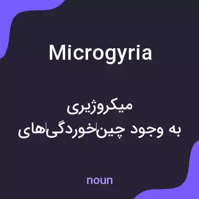 معنی microgyria به فارسی معنی microgyria به فارسی