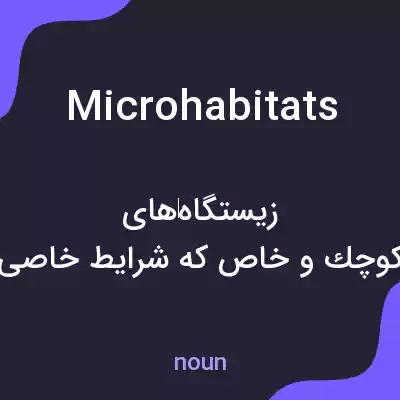 معنی microhabitats به فارسی معنی microhabitats به فارسی