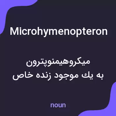 معنی microhymenopteron به فارسی معنی microhymenopteron به فارسی