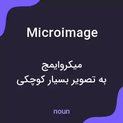 معنی microimage به فارسی معنی microimage به فارسی