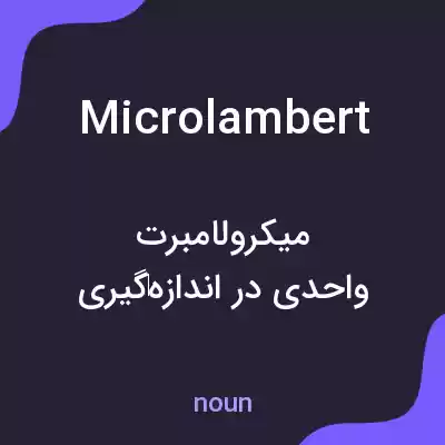 معنی microlambert به فارسی معنی microlambert به فارسی