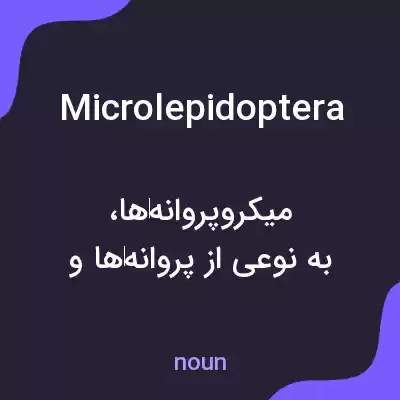 معنی microlepidoptera به فارسی معنی microlepidoptera به فارسی
