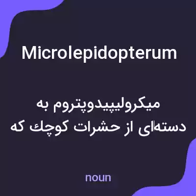 معنی microlepidopterum به فارسی معنی microlepidopterum به فارسی