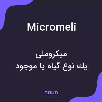 معنی micromeli به فارسی معنی micromeli به فارسی