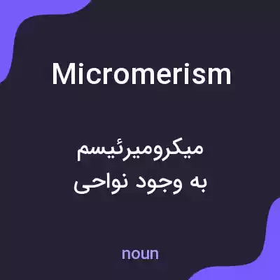 معنی micromerism به فارسی معنی micromerism به فارسی