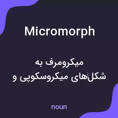 معنی micromorph به فارسی معنی micromorph به فارسی
