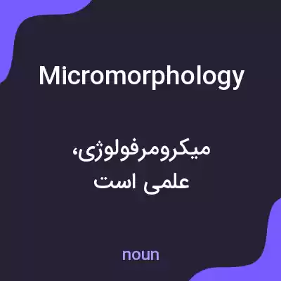معنی micromorphology به فارسی معنی micromorphology به فارسی