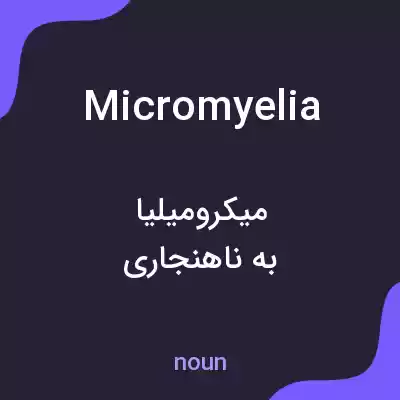 معنی micromyelia به فارسی معنی micromyelia به فارسی