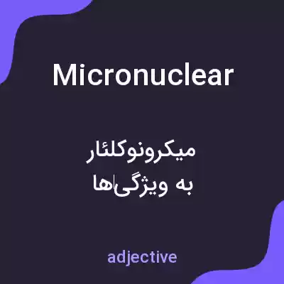 معنی micronuclear به فارسی معنی micronuclear به فارسی