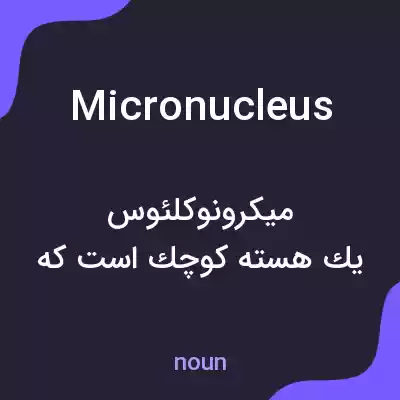 معنی micronucleus به فارسی معنی micronucleus به فارسی