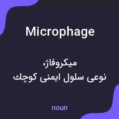 معنی microphage به فارسی معنی microphage به فارسی