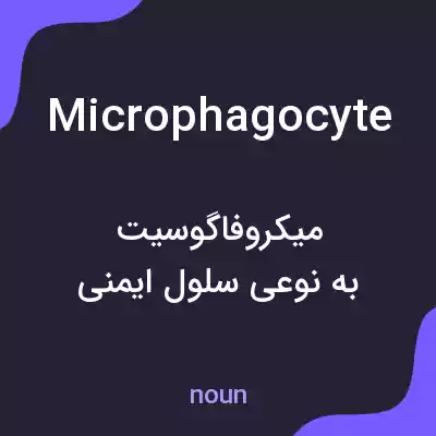 معنی microphagocyte به فارسی معنی microphagocyte به فارسی