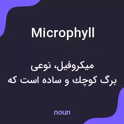 معنی microphyll به فارسی معنی microphyll به فارسی