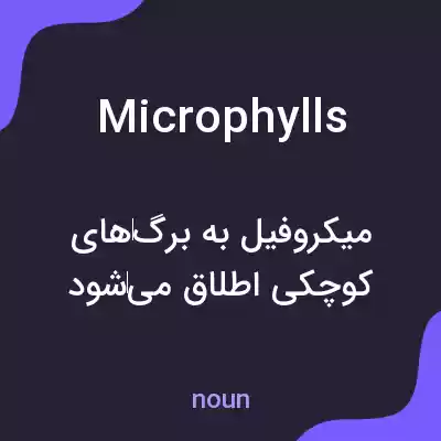 معنی microphylls به فارسی معنی microphylls به فارسی