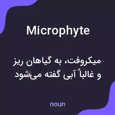 معنی microphyte به فارسی معنی microphyte به فارسی