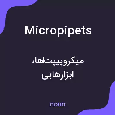 معنی micropipets به فارسی