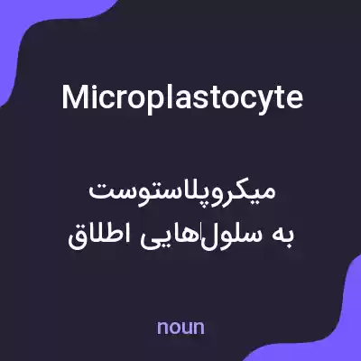 معنی microplastocyte به فارسی معنی microplastocyte به فارسی