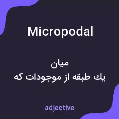 معنی micropodal به فارسی معنی micropodal به فارسی