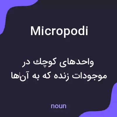 معنی micropodi به فارسی معنی micropodi به فارسی