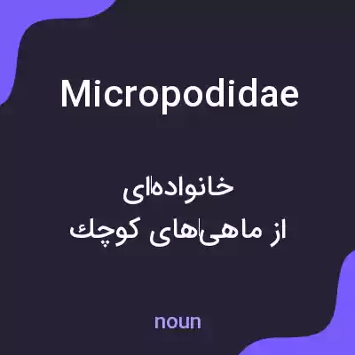معنی micropodidae به فارسی معنی micropodidae به فارسی