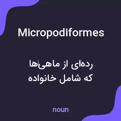 معنی micropodiformes به فارسی معنی micropodiformes به فارسی