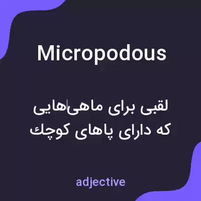 معنی micropodous به فارسی معنی micropodous به فارسی