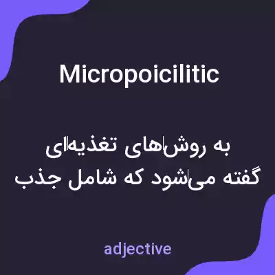 معنی micropoicilitic به فارسی معنی micropoicilitic به فارسی