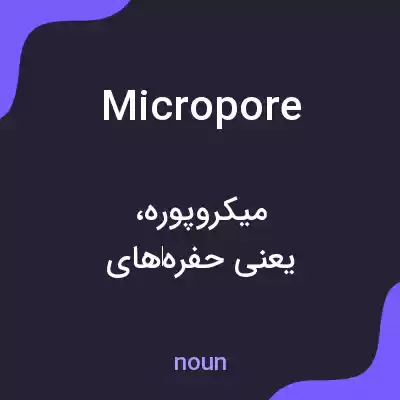 معنی micropore به فارسی معنی micropore به فارسی