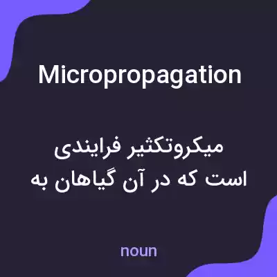 معنی micropropagation به فارسی معنی micropropagation به فارسی