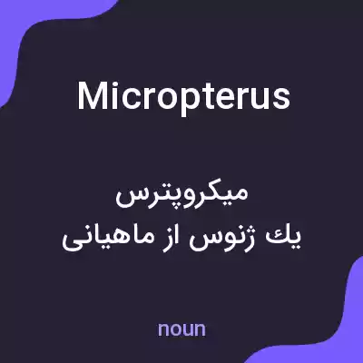 معنی micropterus به فارسی معنی micropterus به فارسی