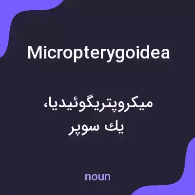معنی micropterygoidea به فارسی معنی micropterygoidea به فارسی