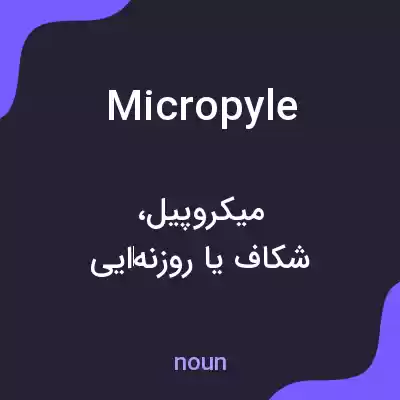 معنی micropyle به فارسی معنی micropyle به فارسی