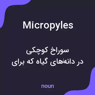 معنی micropyles به فارسی معنی micropyles به فارسی