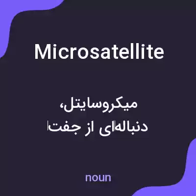 معنی microsatellite به فارسی معنی microsatellite به فارسی