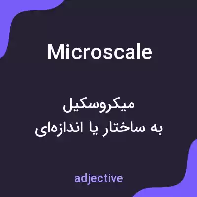 معنی microscale به فارسی معنی microscale به فارسی
