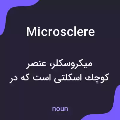 معنی microsclere به فارسی معنی microsclere به فارسی