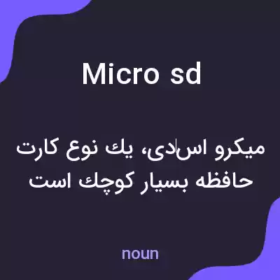 معنی micro sd به فارسی معنی micro sd به فارسی