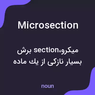 معنی microsection به فارسی معنی microsection به فارسی