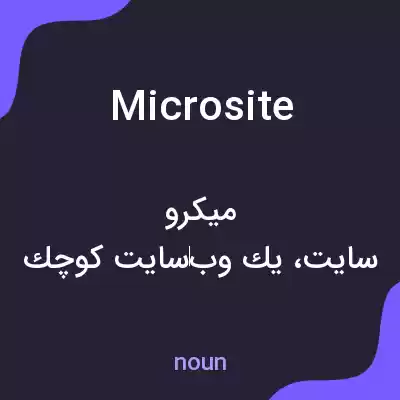 معنی microsite به فارسی