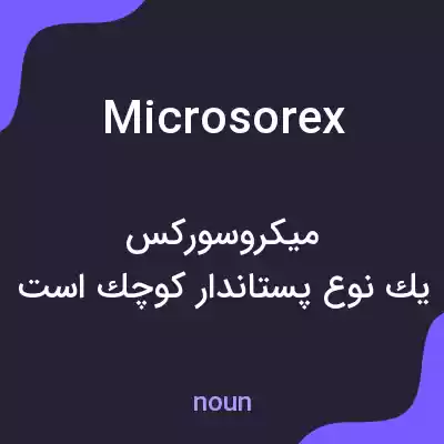 معنی microsorex به فارسی معنی microsorex به فارسی