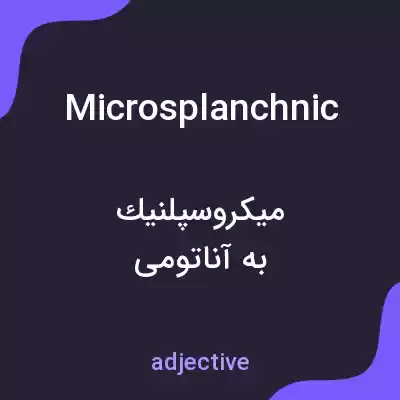 معنی microsplanchnic به فارسی معنی microsplanchnic به فارسی