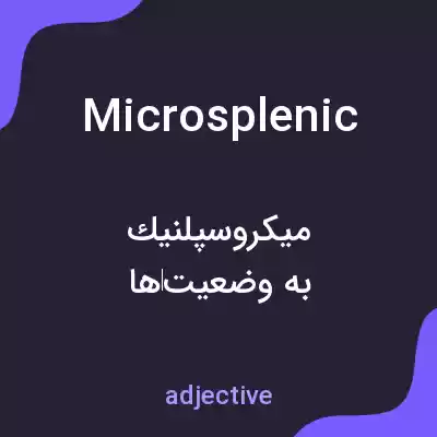 معنی microsplenic به فارسی معنی microsplenic به فارسی