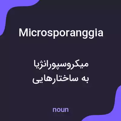 معنی microsporanggia به فارسی معنی microsporanggia به فارسی
