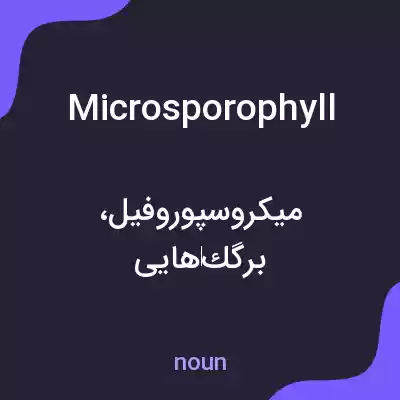 معنی microsporophyll به فارسی معنی microsporophyll به فارسی