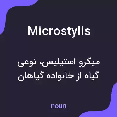 معنی microstylis به فارسی معنی microstylis به فارسی