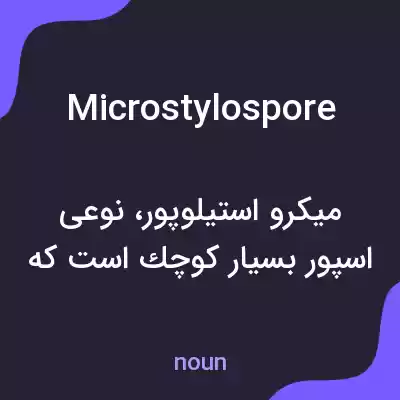 معنی microstylospore به فارسی معنی microstylospore به فارسی