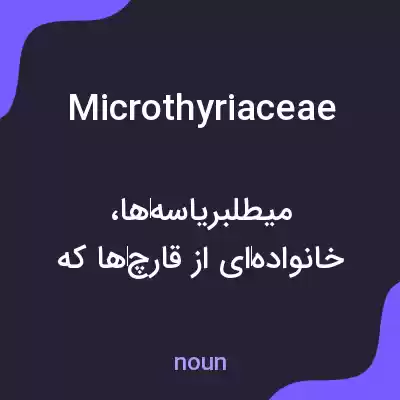 معنی microthyriaceae به فارسی معنی microthyriaceae به فارسی