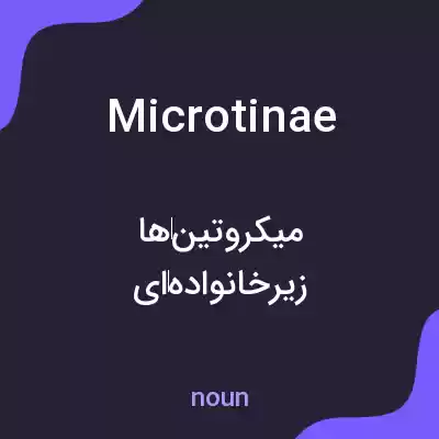 معنی microtinae به فارسی معنی microtinae به فارسی