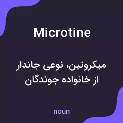 معنی microtine به فارسی معنی microtine به فارسی