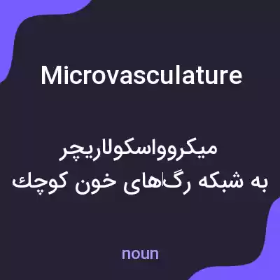 معنی microvasculature به فارسی معنی microvasculature به فارسی